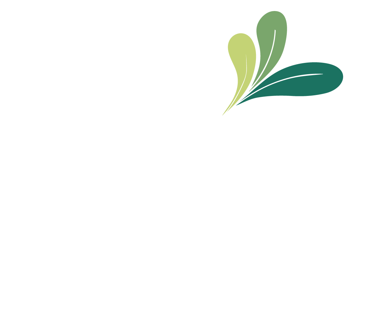 Pink in the Tropics Organisation